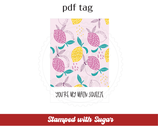 Etiqueta de PDF de la tarjeta Main Squeeze